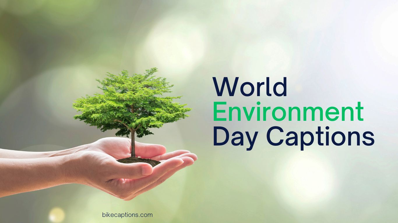 World Environment Day Captions